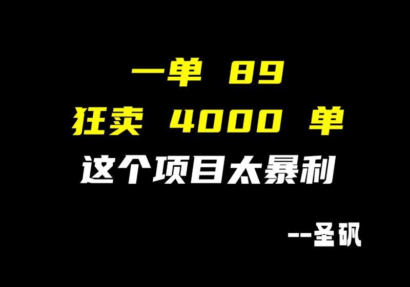 【第19计】一个品,赚了30多万,结合ai操作,5分钟搞定一单-圣矾-专注闲鱼