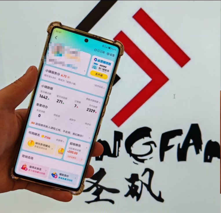 做这个，一年搞了300万 配图 2