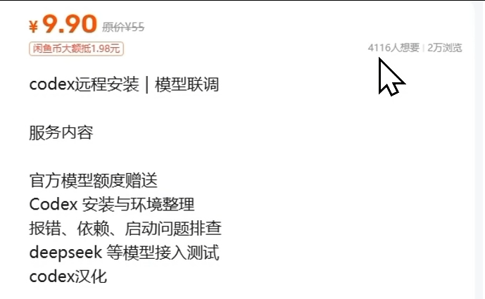 图片[1]-【第42计】Codex安装信息差，9块9一单，单品利润7千多-圣矾-专注闲鱼